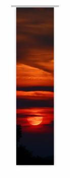 Flächenvorhang Mystic Evening , Schiebevorhang, Schiebegardine, modern, 60 cm brei